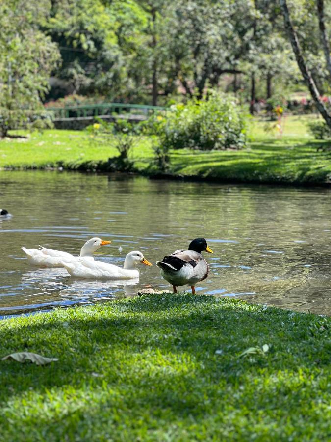 La Casa De Los Patos El Valle de Anton Екстер'єр фото